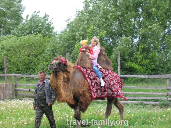 Я с Софийкой катаюсь на верблюде