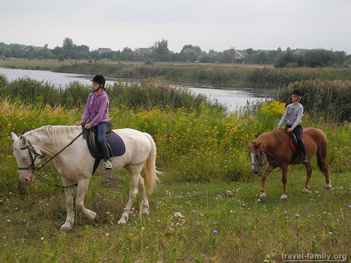 Прогулки на лошадях по Житомирской трассе для детей и взрослых 