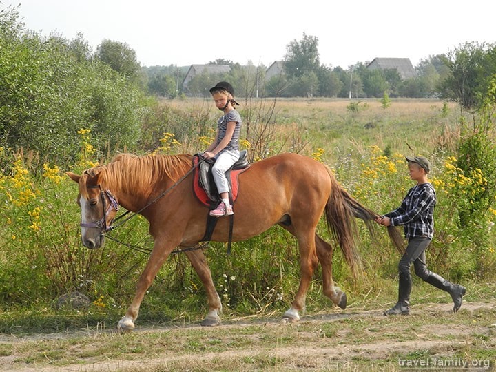 Верховая езда и уроки верховой езды по Житомирской трассе для детей и взрослых