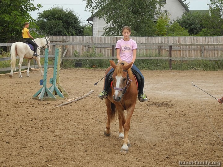 Уроки верховой езды и прогулки на лошадях в Житомирской области