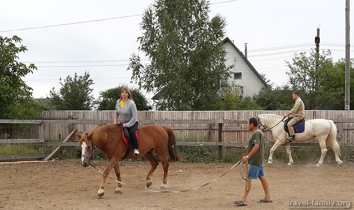Обучение верховой езды для новичков недалеко от Киева