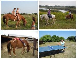 Отдых с лошадьми недалеко от Киева по Житомирской трассе