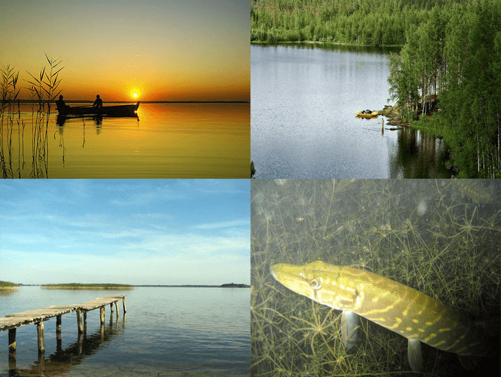Рыбалка на Шацких озерах и какая рыба водится?