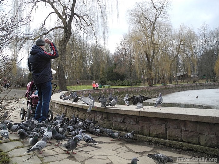 Парки Ивано-Франковска: покормить голубей в парке Шевченко