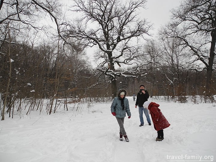 Киев снег 2015: Прогулка в зимнем лесу