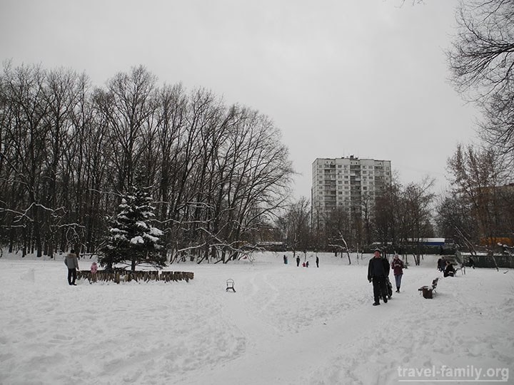 Киев снег 2015: лес напротив Одесского рынка в Киеве