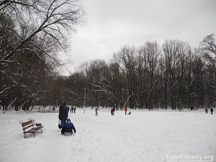 Прогулка в зимнем лесу Киева