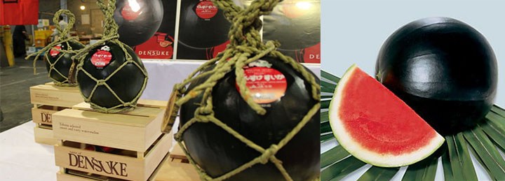 7 интересных фактов об арбузах: Черные арбузы "Дэнсукэ" 