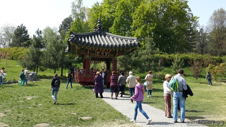 Корейский традиционный сад в Киеве