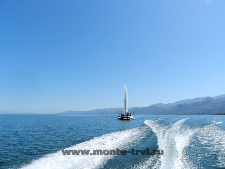 Что посмотреть в Черногории - Скадарское озеро