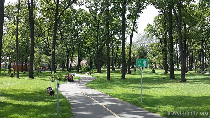 Парк "Дубки" в Ирпене: в парке есть дорожки для прогулок и езды на велосипедах, роликах