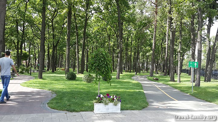 Отдых рядом с Киевом: парки Ирпеня