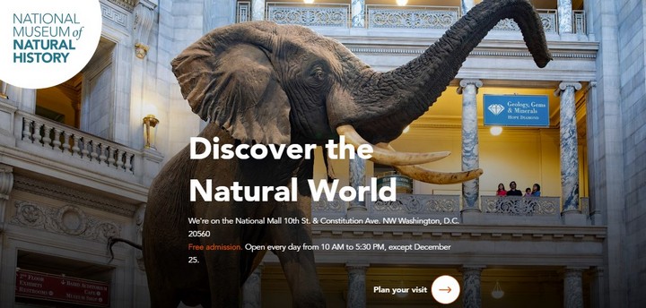 Музеи мира онлайн: Национальный музей естественной истории (Вашингтон)