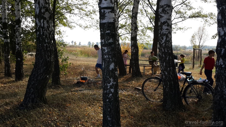 Отдых на природе в Житомирской области: вышли с друзьями и лошадьми на пикник