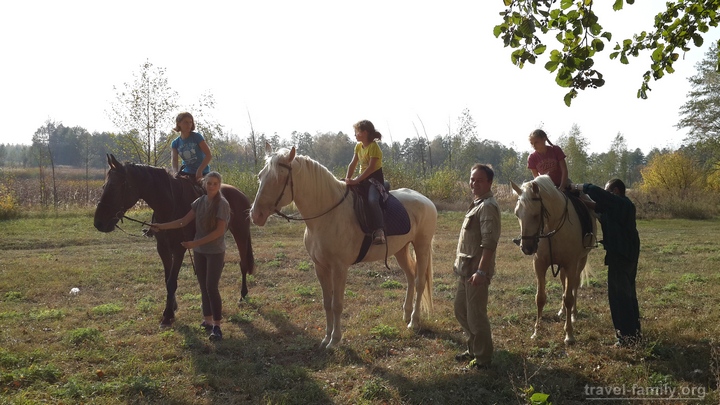 Прогулки на лошадях в Житомирской области