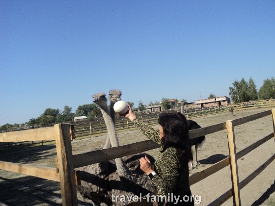 Экскурсия в Ясногородской страусиной ферме