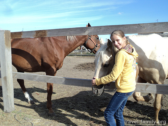 Прогулки на лошадях не дорого под Киевом: Дети кормят и гладят лошадей