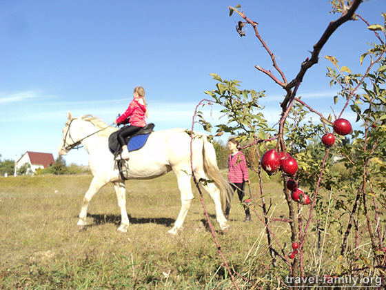 Отдых на лошадях в Житомирской области: Красивый осенний денек