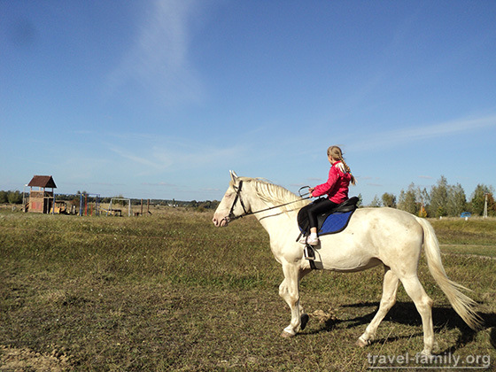 Прогулки на лошадях недалеко от Киева по Житомирской трассе - отзывы