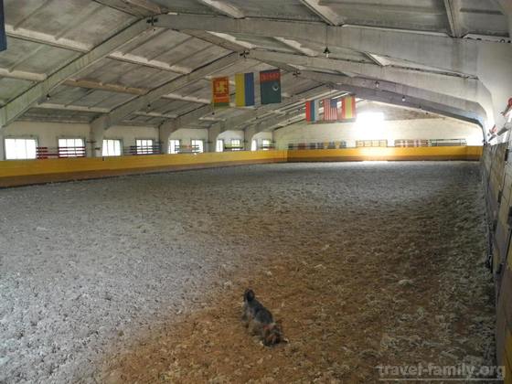 Где отдохнуть недалеко от Киева: в конно-спортивном клубе "Фаворит"