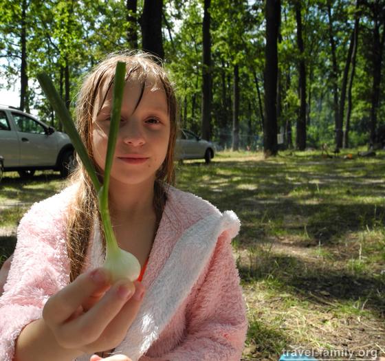 Наблюдательная дочурка Маринка сказала, что лук похож на букву "У", что означает "Украина"
