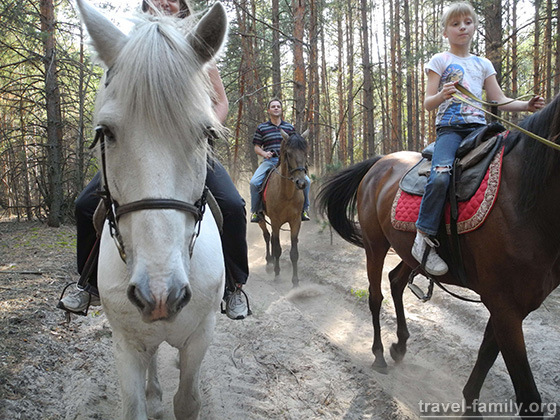Прогулка в лесу на лошадях в Киевской области