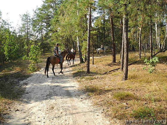 Феневичи Киевской области: Наша прогулка на лошадях в лесу