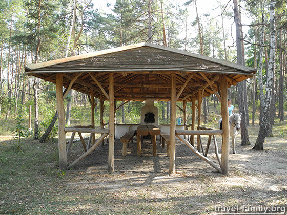 Место для отдыха в лесу: Киевская область Иванковский район, Феневичи
