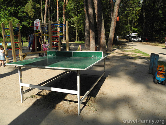 Бесплатный настольный теннис в Голосеевском парке в Киеве