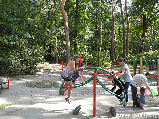 Детская площадка в Голосеевском парке Киева
