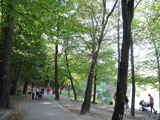 Красивые парки Киева: прогулка возле озера в Голосеевском парке имени Рыльского