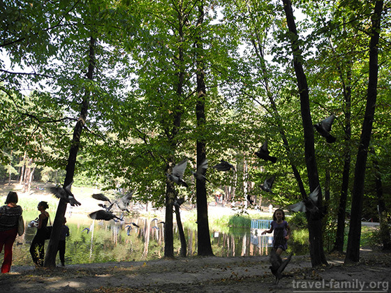 Где погулять в Киеве: красивый Голосеевский парк
