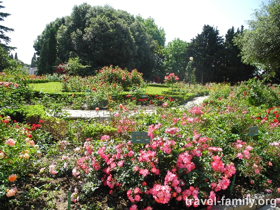 Никитский ботанический сад в Крыму: наша прогулка