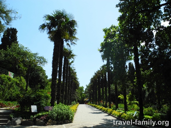 Наша поездка в Никитский ботанический сад в Крыму
