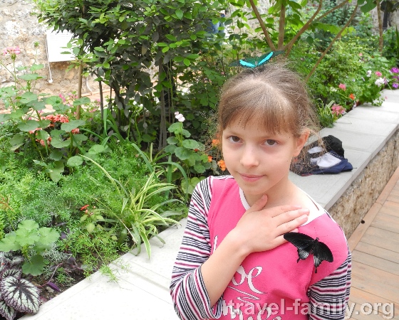 Оранжерея бабочке в Никитском ботаническом саду Крыма