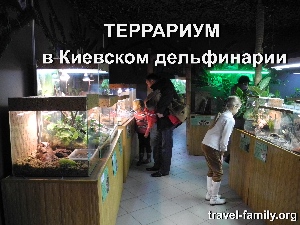 Террариум в Киевском дельфинарии