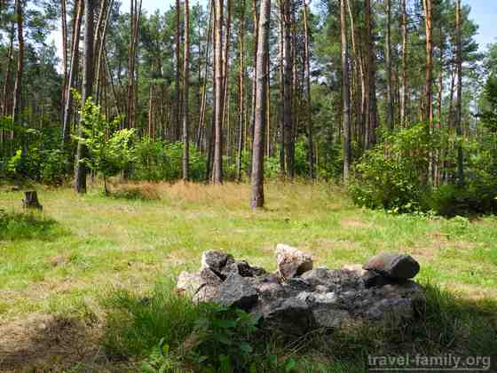 Отдых в Киевской области: Место для костра в лесу