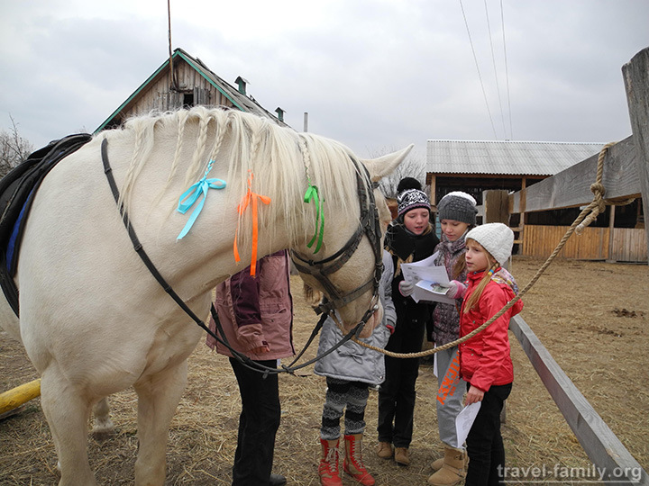 Как интересно и увлекательно отметить детский день рождения с лошадьми