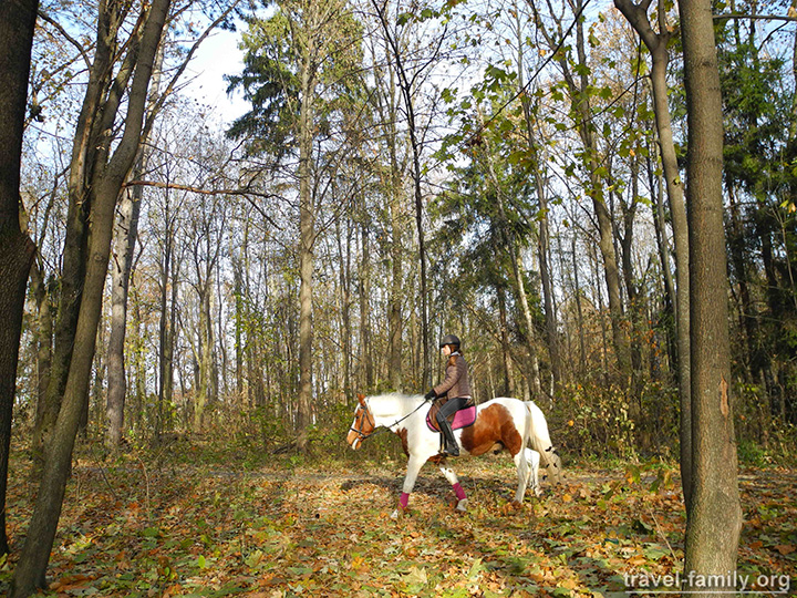 Прогулка на лошадях в Киеве недалеко от ипподрома