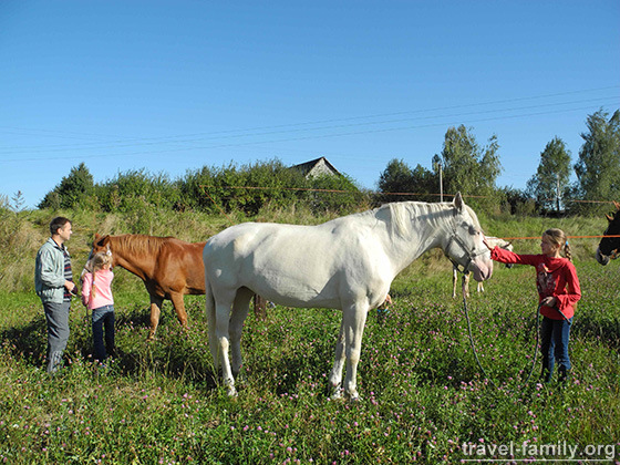 Активный отдых по Житомирской трассе: Дети устанавливают контакт с лошадьми