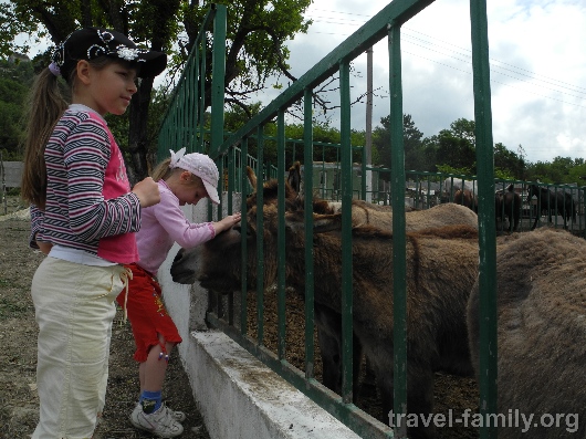 Ферма "Чудо-ослики" в Крыму: наша прогулка семьей на осликах