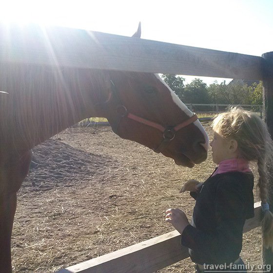 Отдых с детьми и лошадьми в житомиркой области недалеко от Киева