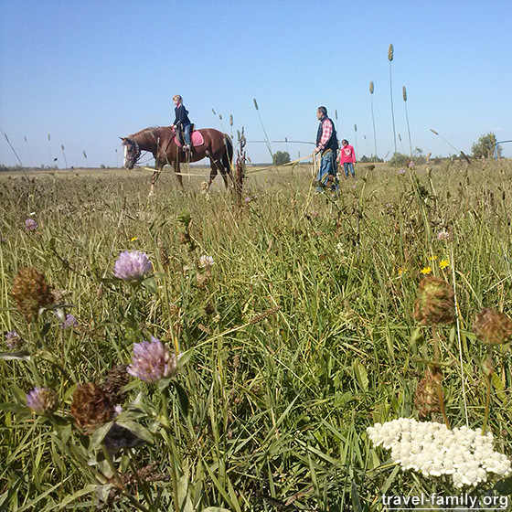 Прогулки на лошадях и обучение верховой езде для детей - недорого и недалеко от Киева