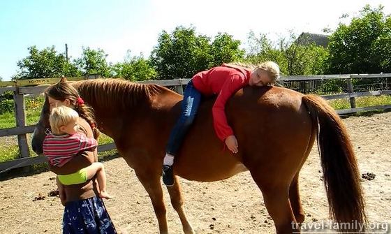 Дети на лошадях без седла