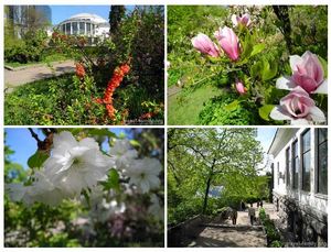 Красивые места Киева: о моей прогулке в ботаническом саду фомина