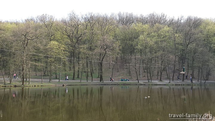 Веревочный парк "Активна країна" в Голосеевском парке: маршрут с "полетом" над ставком