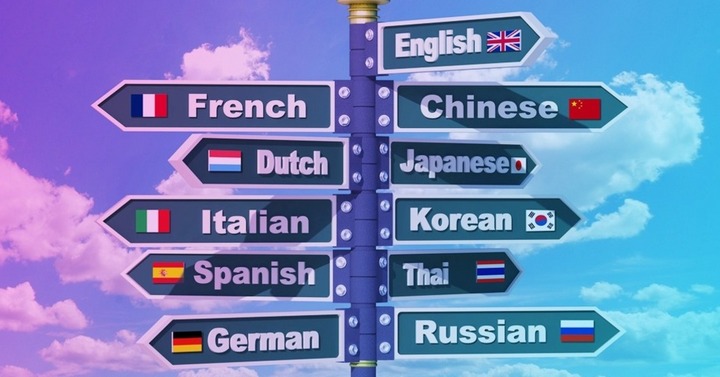 Языковые курсы за границей: какие, сколько стоят, в каких странах, отзывы 
